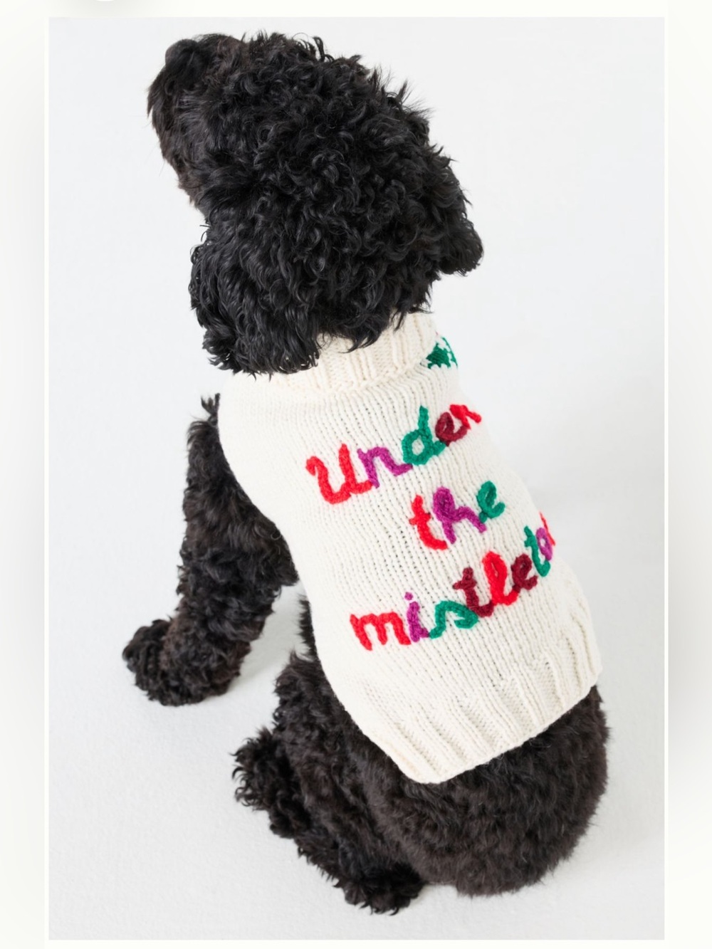 Anthropologie Hand Knit Cozy Cream 'Under the Mistletoe' Knit Dog Sweater